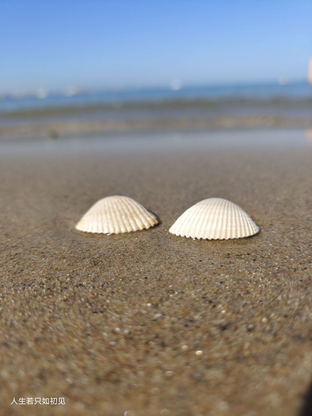 老虎石海上公园旅行图片 2