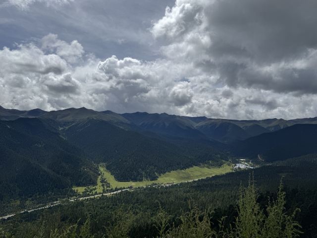 鲁朗林海风景区旅行图片 9