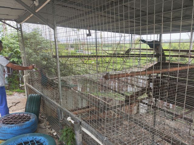 武寨岩景区旅行图片 2