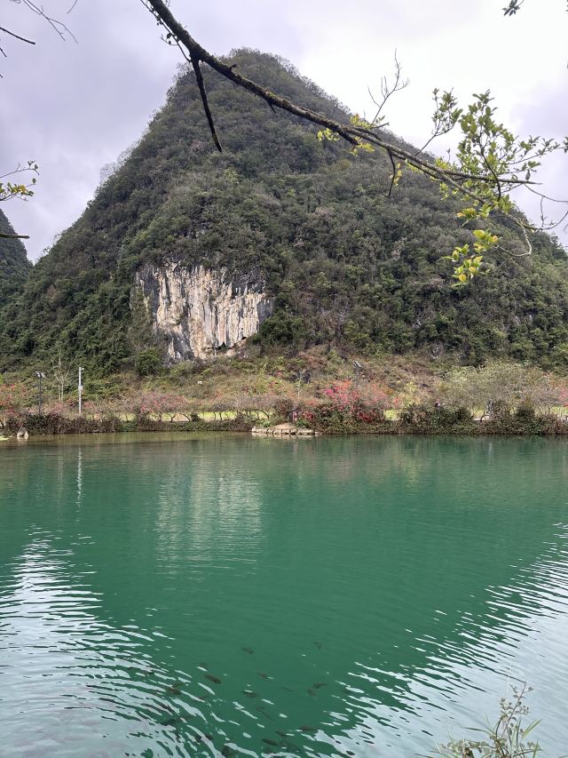 鹅泉跃鲤旅行图片 2