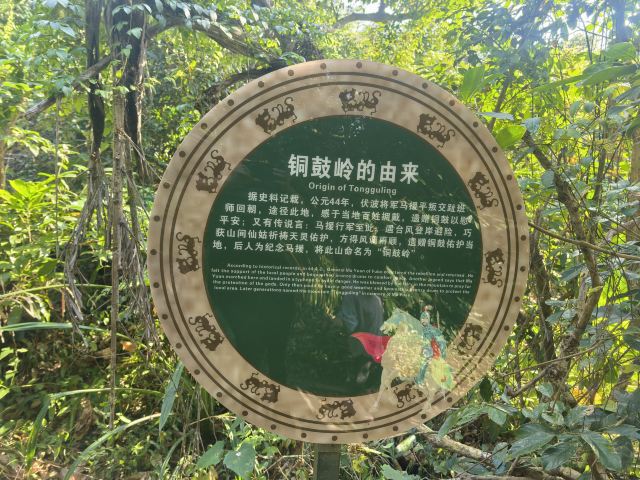 铜鼓岭景区旅行图片 9