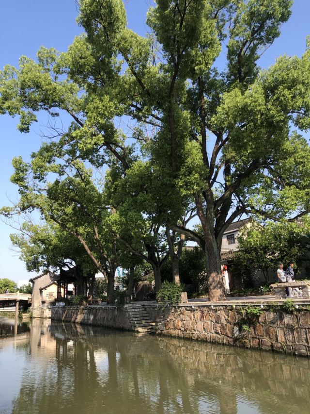 青溪老街旅行图片 7