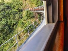 库兰达考拉花园-库兰达-Miranda-zm