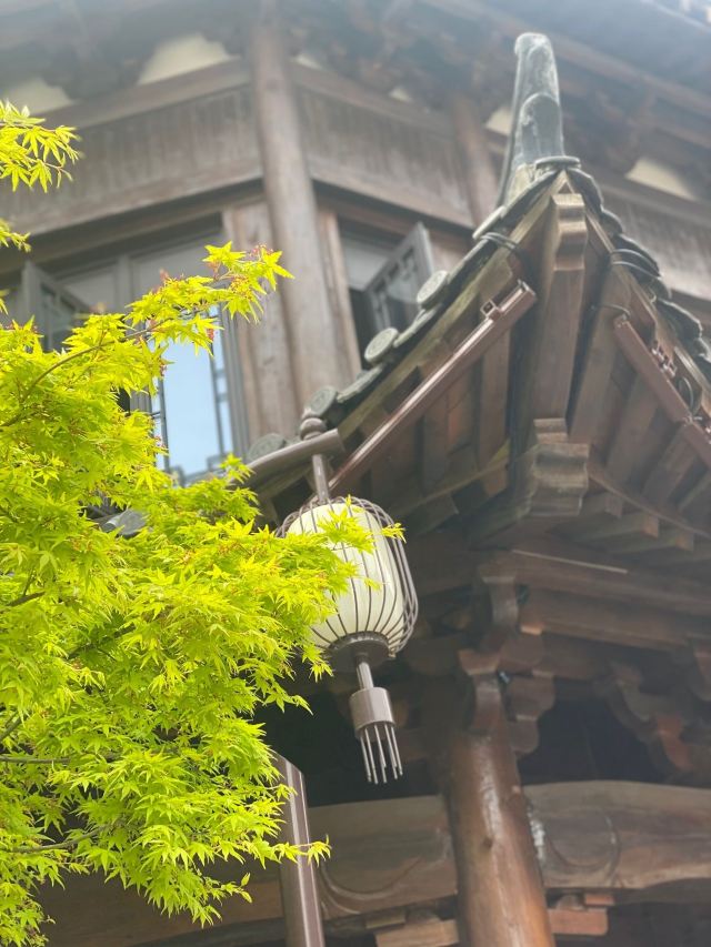 贡街公园旅行图片 4