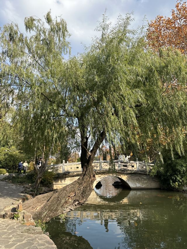 上海长风公园旅行图片 12