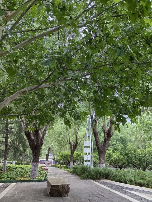 庆丰公园旅行图片 3