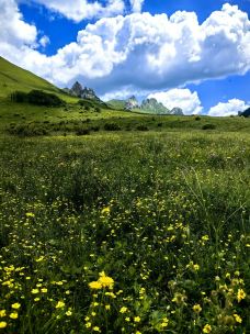 则岔石林-碌曲-Zheng-Nan