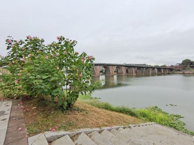 太平桥旅行图片 5