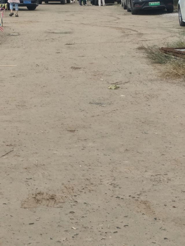 中国孙子文化园旅行图片 3