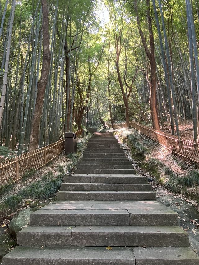 会稽山风景区旅行图片 3