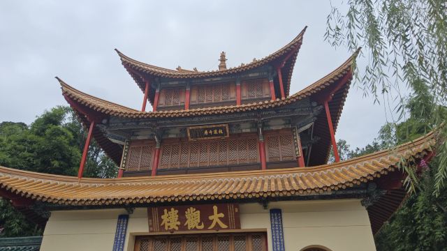 大观公园旅行图片 1