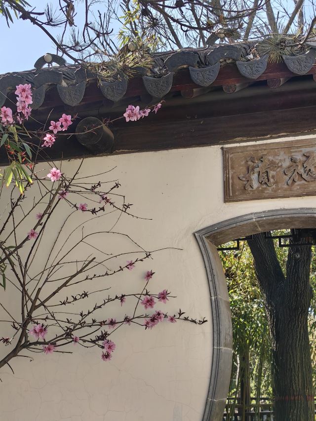 宛园旅行图片 1