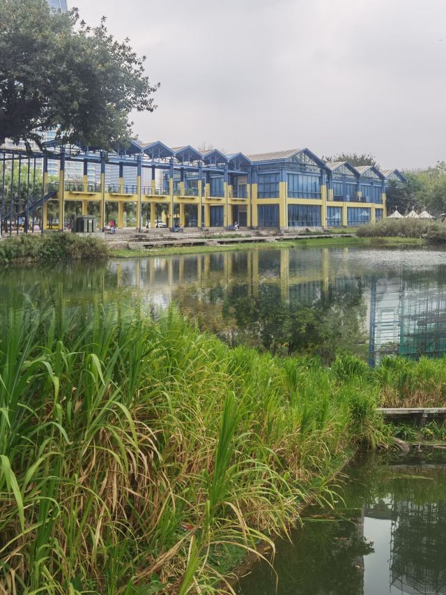 岐江公园旅行图片 6