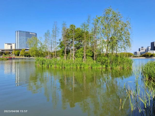 扬州双博馆旅行图片 4