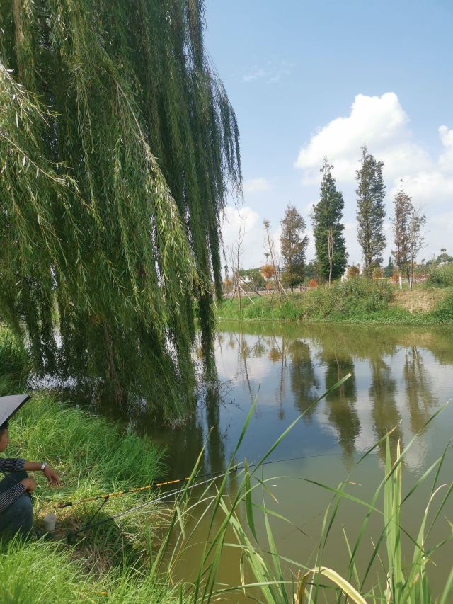 麒麟水乡旅行图片 11