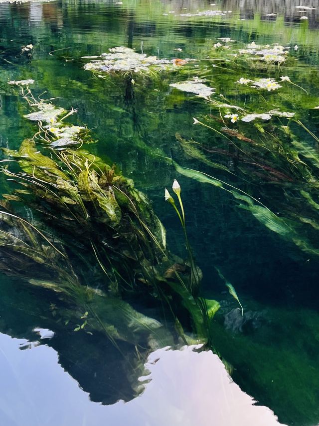 九顿溢流天窗群旅行图片 5