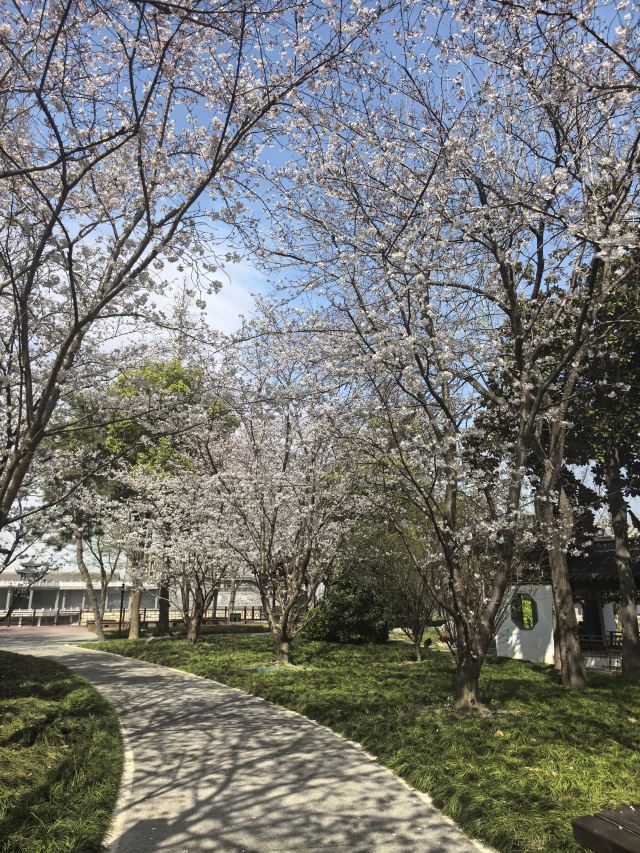 瓜洲古渡公园旅行图片 6