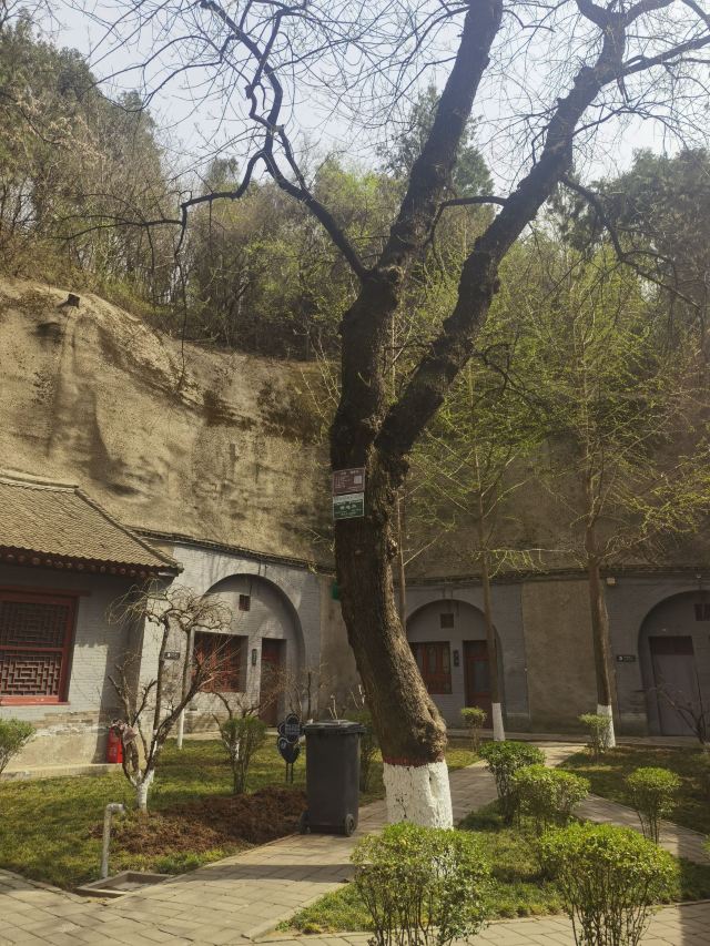 杜甫纪念馆旅行图片 4