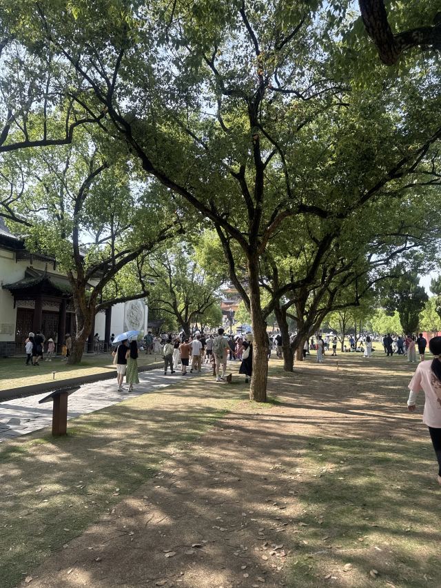 御窑厂国家考古遗址公园旅行图片 1