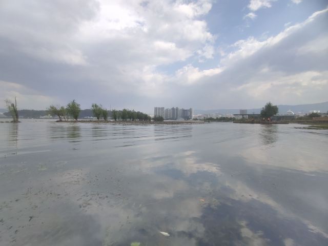 洱海月湿地公园旅行图片 9