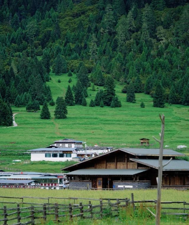 鲁朗林海风景区旅行图片 1