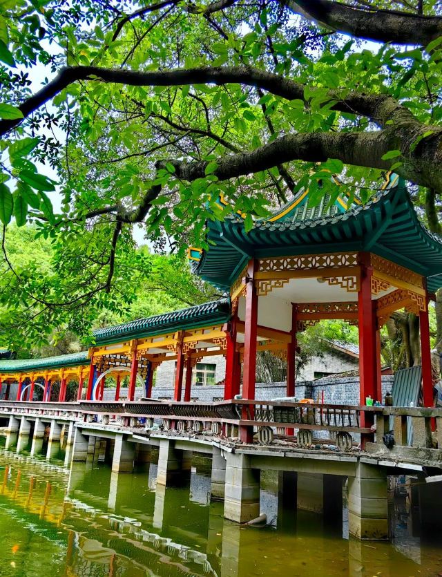 鹅岭公园旅行图片 2