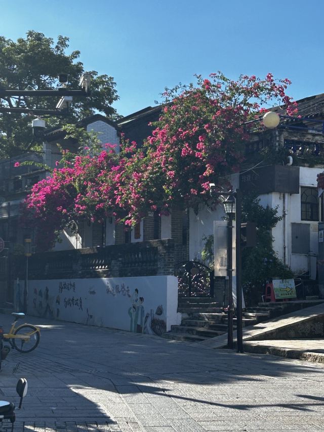 唐家古镇旅行图片 8