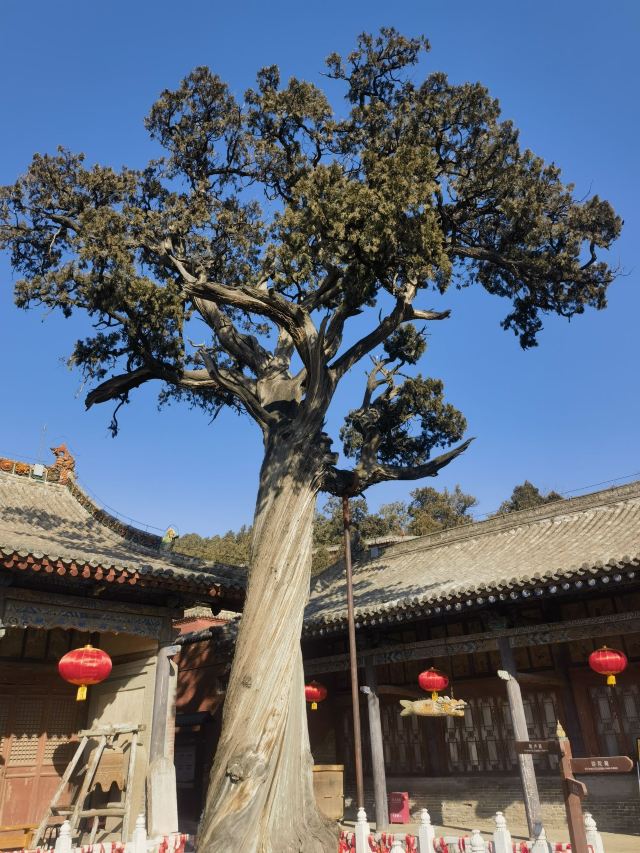广胜寺旅行图片 4