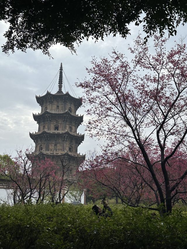 泉州古城旅行图片 3