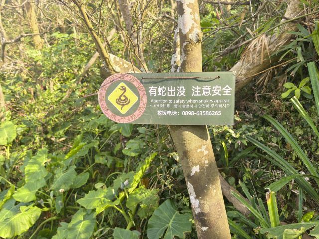 铜鼓岭景区旅行图片 7