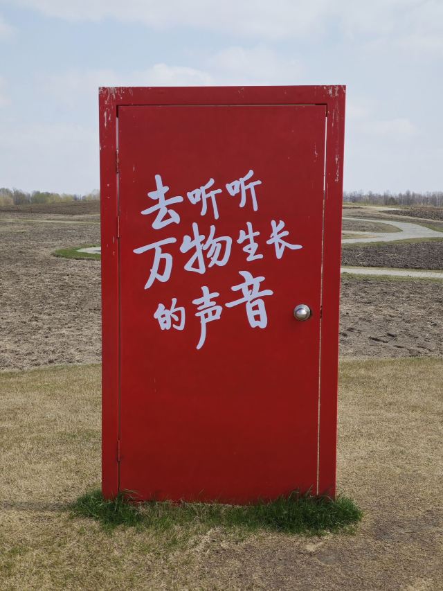 上海东滩湿地公园旅行图片 1