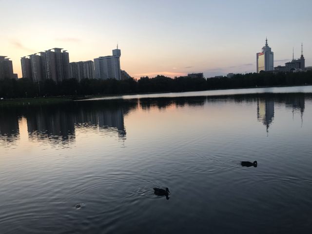 莲花池公园旅行图片 3