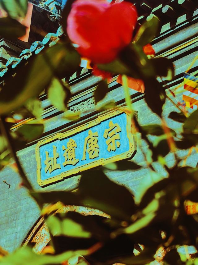 崇善寺旅行图片 7