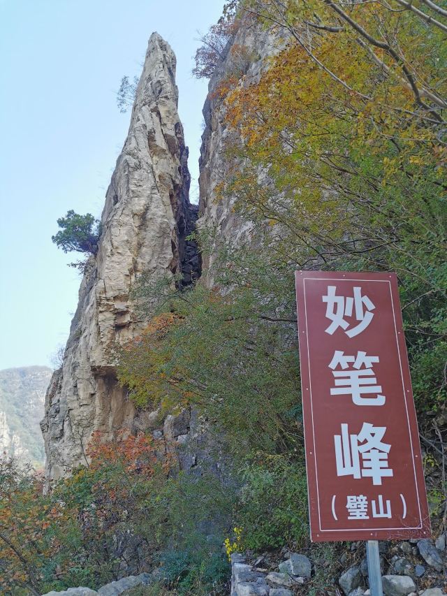 璧山景区旅行图片 8