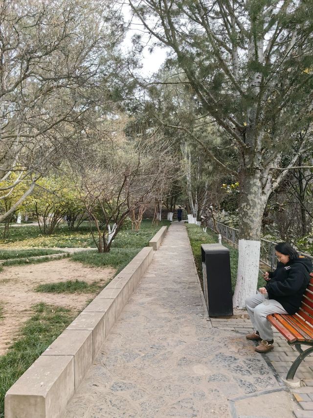 西安市纺织公园旅行图片 8