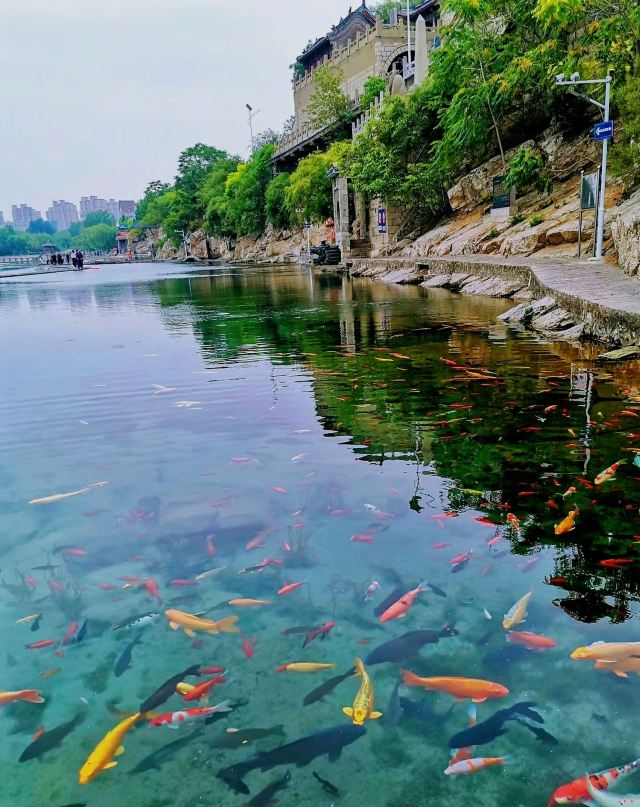 黑龙洞旅行图片 2