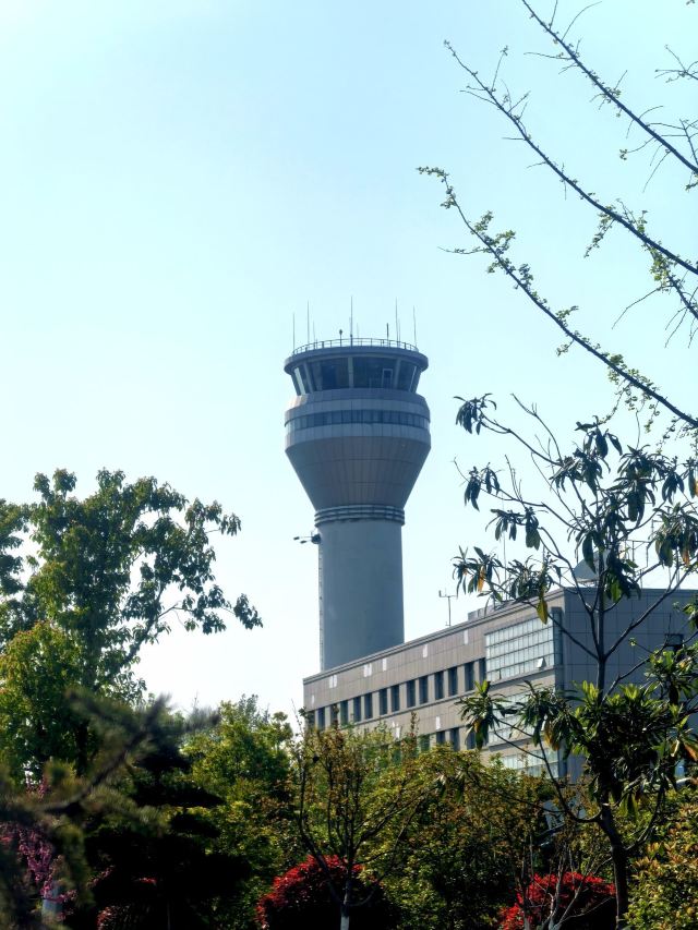 骆岗公园旅行图片 3
