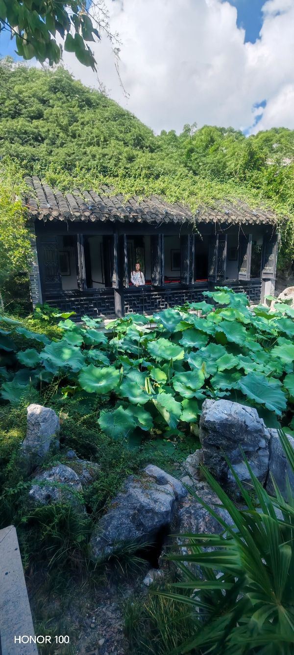 金东门老街旅行图片 7
