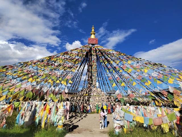 若尔盖热尔部落梅花鹿生态园旅行图片 3
