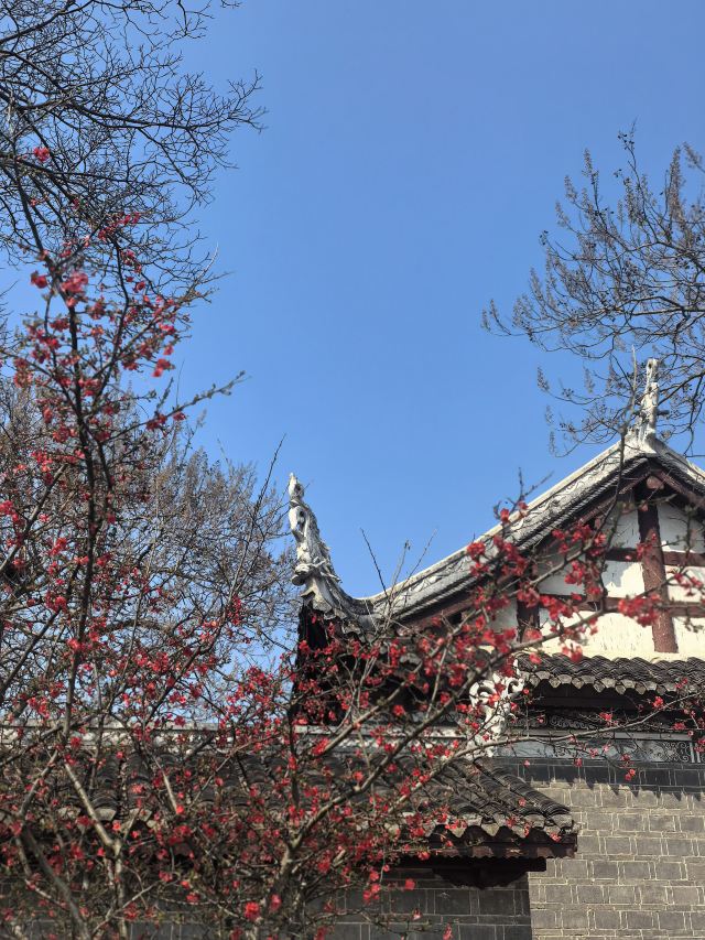 青岩古镇旅行图片 10