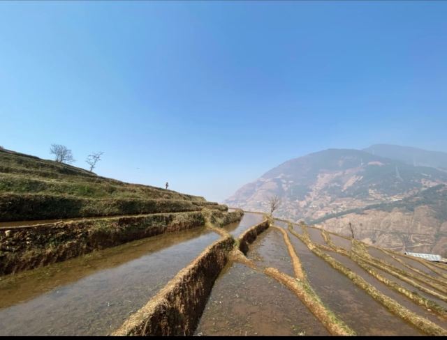 新山梯田旅行图片 2
