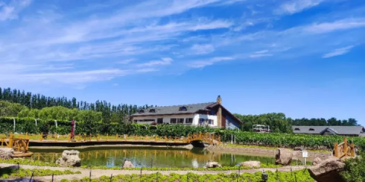 吉奧尼葡萄莊園