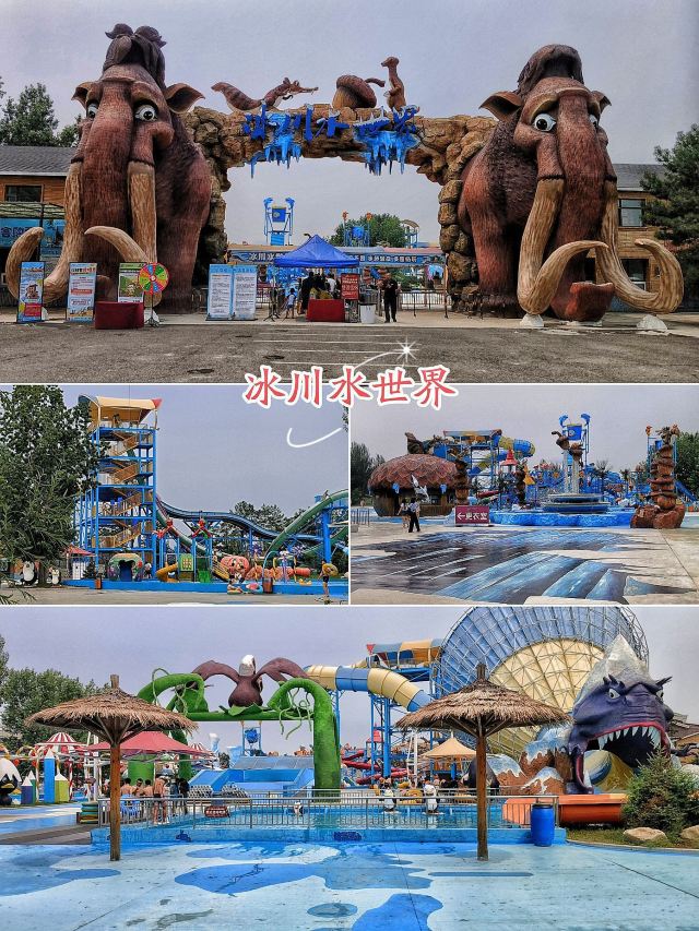 水师森林公园旅行图片 13