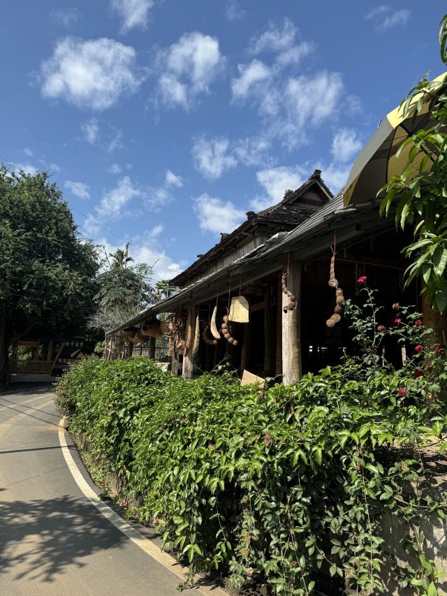 曼远村旅行图片 4