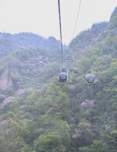 中灵索道-下站-栾川-YoYo_8P6V7H6O