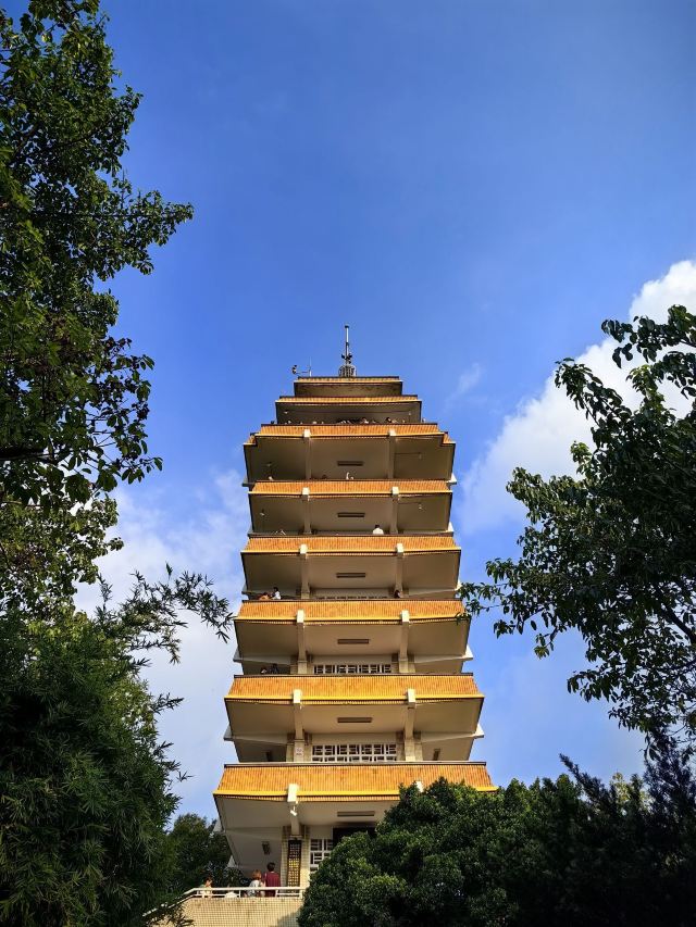 鹅岭公园旅行图片 5