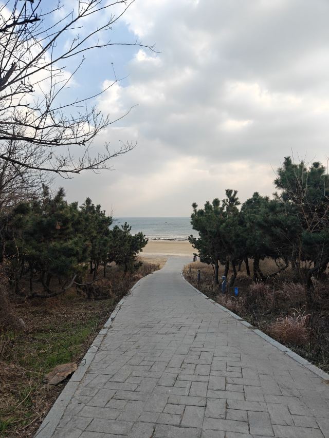 青岛连三岛游玩攻略简介,青岛连三岛门票/地址/图片/开放时间/照片/门票价格【携程攻略】