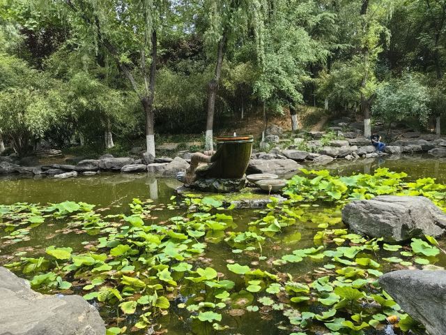 丰庆公园旅行图片 5