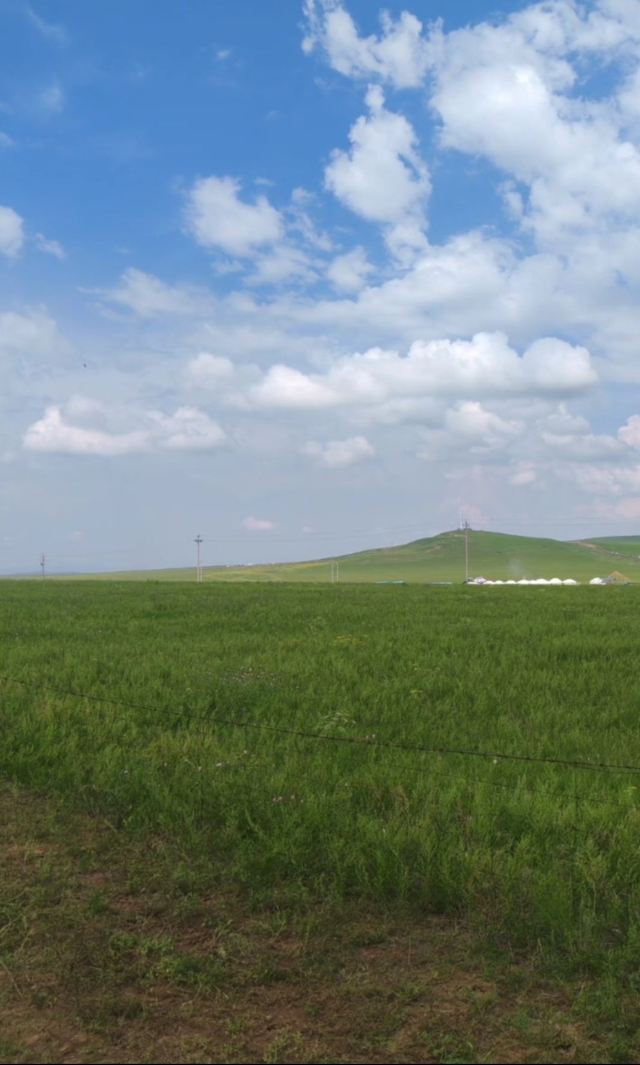 满洲里中俄边境旅游区旅行图片 4