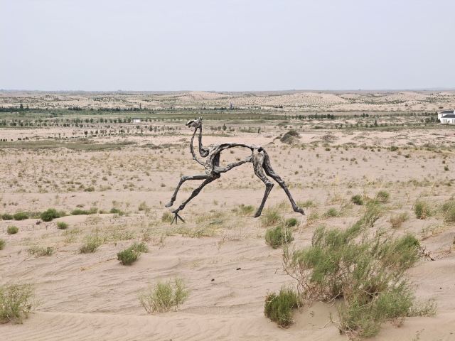 沙漠雕塑公园旅行图片 8